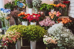 Fleurs pour un enterrement  Roche-la-Molière